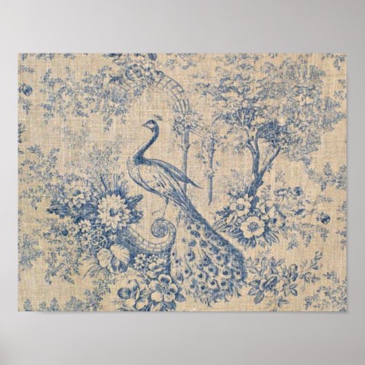Poster Toile Peacock antique (Devant)