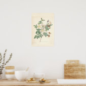 Poster Toile Rosier (Cuisine)