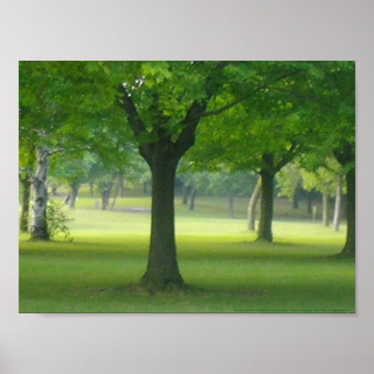 Poster Toile Shellis Imprimer, Sans Cadre "La Forêt Magiq (Devant)