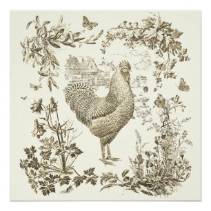 Poster Toile Vintage classique de coq beige Floral