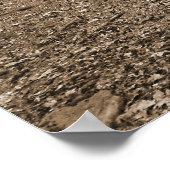 Poster Toile XL Forrest Steps (Coin)