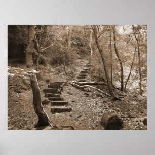 Poster Toile XL Forrest Steps
