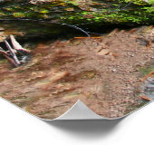 Poster Toketee Falls (Coin)