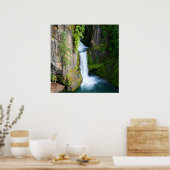 Poster Toketee Falls (Cuisine)