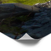 Poster Tokopah Falls I at Sequoia National Park (Coin)