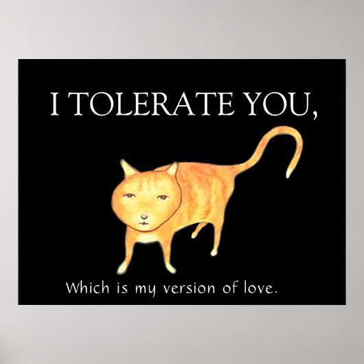Poster Tolerant Apathetic Orange Cat (Devant)