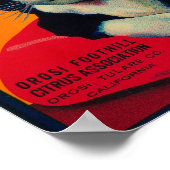 Poster Tom Cat Lemon LabelOrosi, CA (Coin)