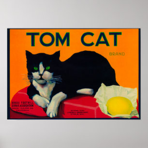 Poster Tom Cat Lemon LabelOrosi, CA