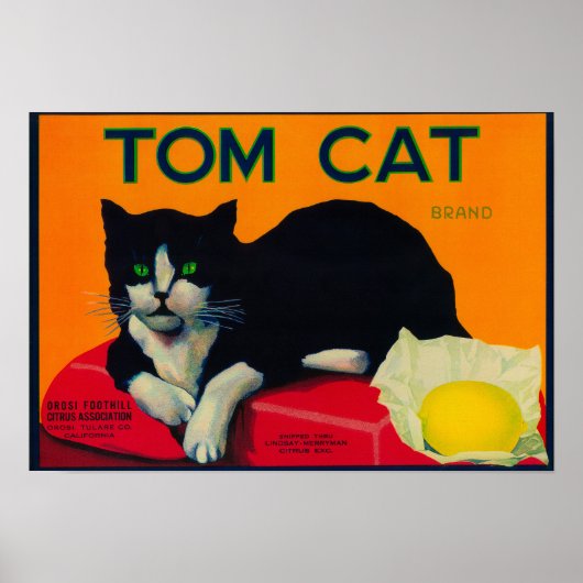 Poster Tom Cat Lemon LabelOrosi, CA (Devant)