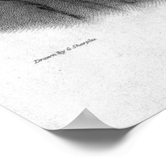 Poster Tom Oliver, gravé par Percy Roberts (Coin)