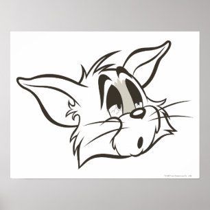 Poster Tom Sleepy Chat