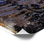 Poster Tom Thomson - Clair de lune (Coin)