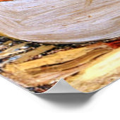 Poster Tom Thomson - La Toile De Canot, (Coin)