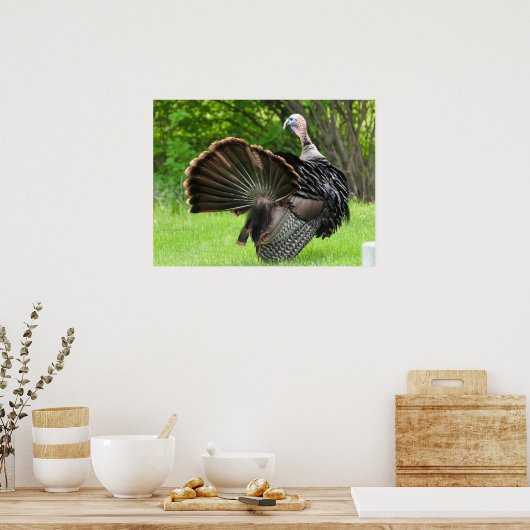 Poster Tom Turkey Feather Display  (Cuisine)