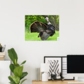 Poster Tom Turkey Feather Display  (Bureau à domicile)