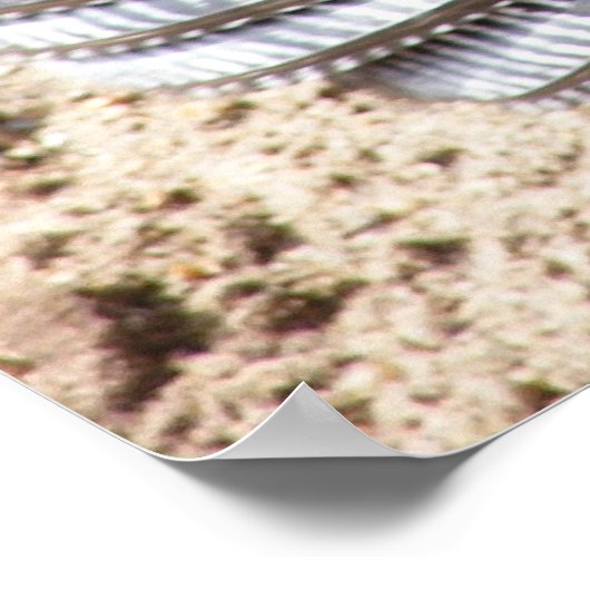 Poster Tom Turquie 1 (Coin)