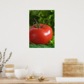 Poster Tomate (Cuisine)