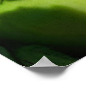 Poster Tomate du jardin vert (Coin)