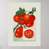 Poster Tomates (Devant)