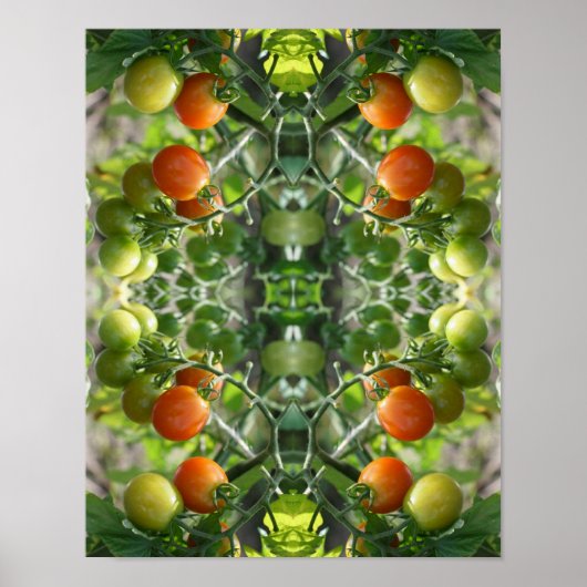 Poster Tomates cerises de jardin Nature Abstraite (Devant)