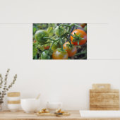 Poster Tomates cerises sur la vigne photo imprimé (Cuisine)