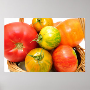 Poster Tomates colorées d'héritage