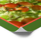 Poster Tomates de jardin personnalisées avec initiale de (Coin)