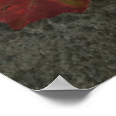 Poster Tomates de l'héloome (Coin)