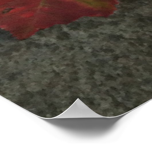 Poster Tomates de l'héloome (Coin)