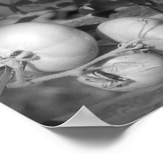 Poster Tomates En Noir Et Blanc Abstrait (Coin)