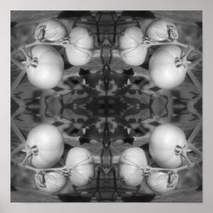Poster Tomates En Noir Et Blanc Abstrait
