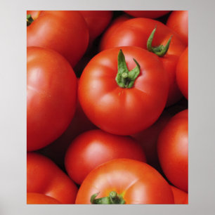 Poster Tomates Mûres - Rouge Clair, Frais