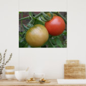 Poster Tomates orange et rouge Imprimer (Cuisine)