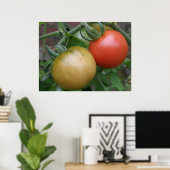 Poster Tomates orange et rouge Imprimer (Bureau à domicile)