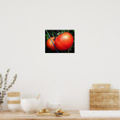 Poster Tomates Rouge Ripe Garden Sur La Vigne (Cuisine)