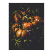 Tomates Rustiques Maussades Cuisine de Ferme Vinta