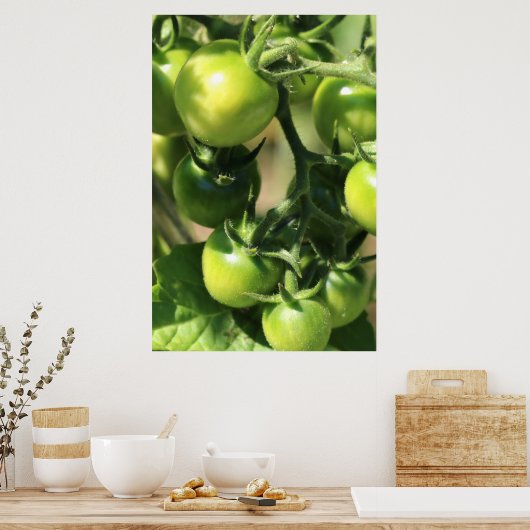 Poster Tomates vertes (Cuisine)