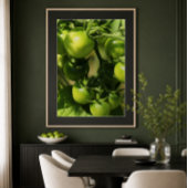 Poster Tomates vertes