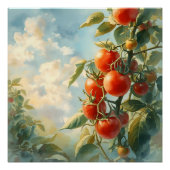 Poster Tomates vintages sur une vigne (Devant)