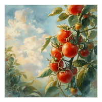Tomates vintages sur une vigne