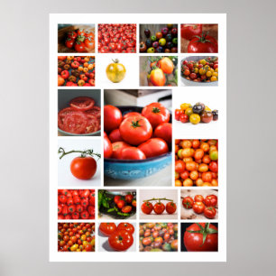 Poster TOMATO Collage