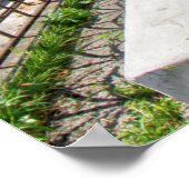 Poster Tombe d'Ernst Fuchs (Coin)