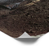 Poster Tombeau d'un chef gaulois (Coin)