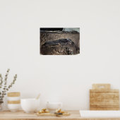 Poster Tombeau d'un chef gaulois (Cuisine)