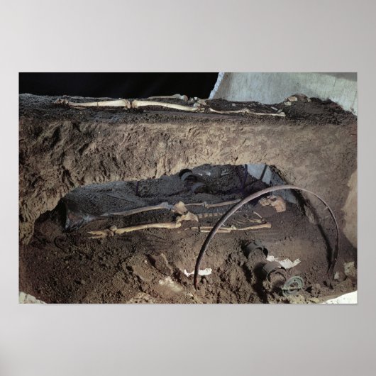 Poster Tombeau d'un chef gaulois (Devant)