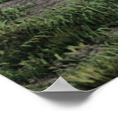 Poster Tombeau vide du Christ (Coin)