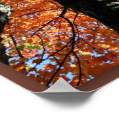 Poster Tomber dans l'amour Wisconsin (Coin)