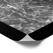 Poster Tommy Burns Boxing 1910 (Coin)