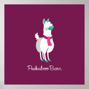 Poster Tommy le lama