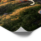 Poster Tomorr (Coin)